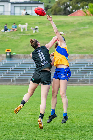 WPD Second Semi-Final - UTS v East Coast - 26 August 2023