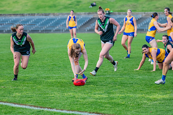 WPD Second Semi-Final - UTS v East Coast - 26 August 2023