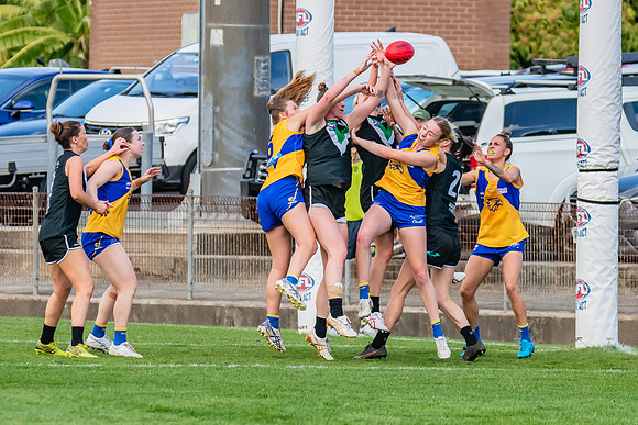 WPD Second Semi-Final - UTS v East Coast - 26 August 2023