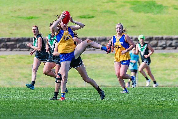 WPD Second Semi-Final - UTS v East Coast - 26 August 2023