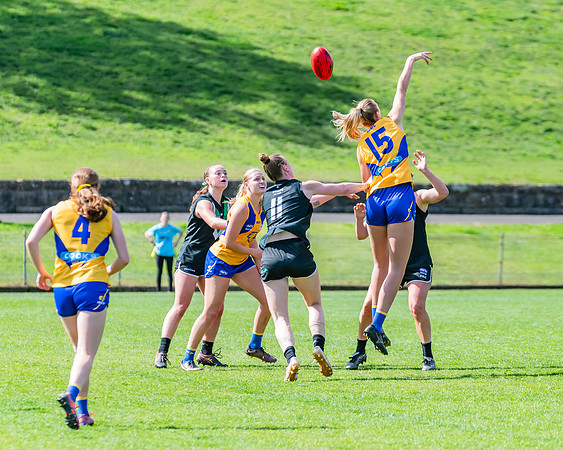 WPD Second Semi-Final - UTS v East Coast - 26 August 2023