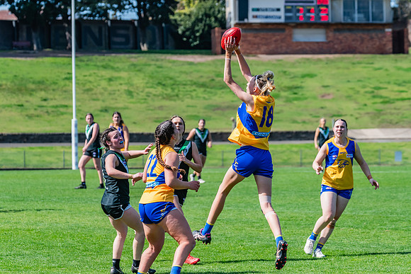 WPD Second Semi-Final - UTS v East Coast - 26 August 2023