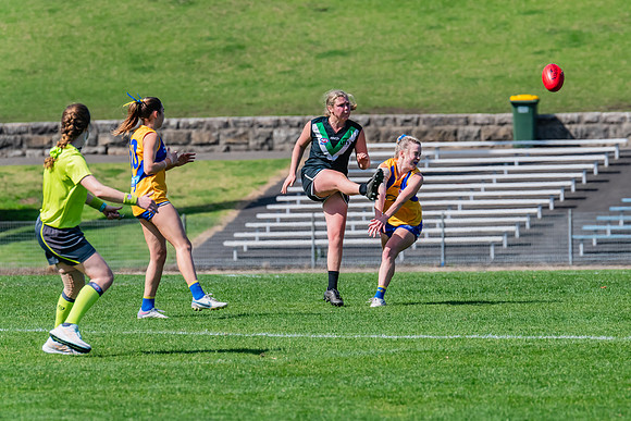 WPD Second Semi-Final - UTS v East Coast - 26 August 2023