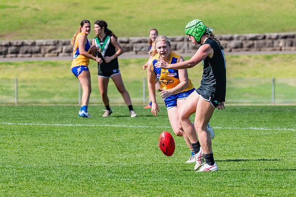 WPD Second Semi-Final - UTS v East Coast - 26 August 2023