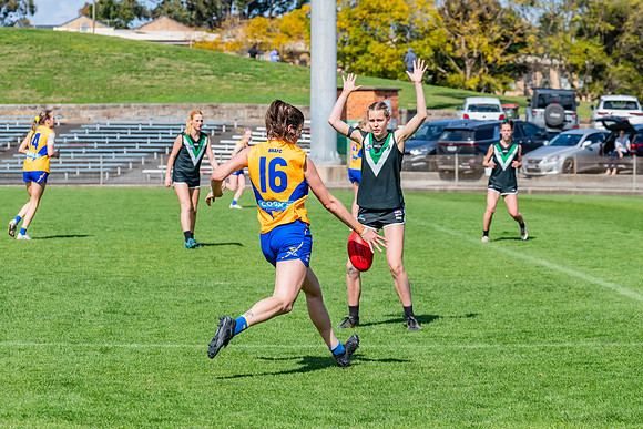 WPD Second Semi-Final - UTS v East Coast - 26 August 2023