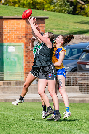WPD Second Semi-Final - UTS v East Coast - 26 August 2023
