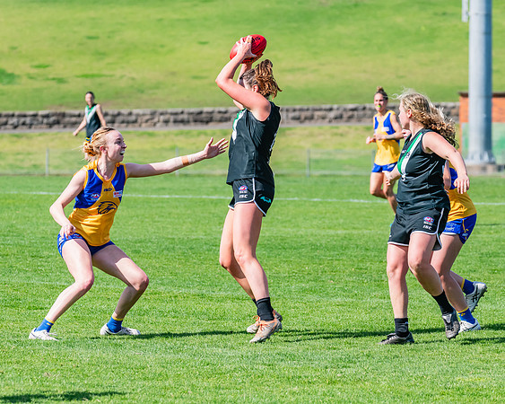 WPD Second Semi-Final - UTS v East Coast - 26 August 2023