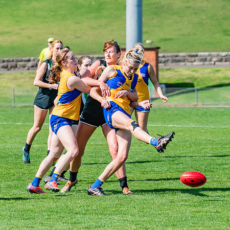 WPD Second Semi-Final - UTS v East Coast - 26 August 2023