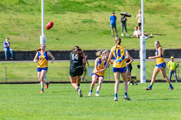 WPD Second Semi-Final - UTS v East Coast - 26 August 2023