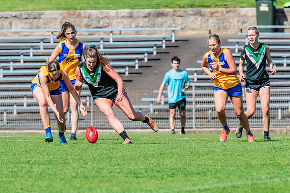 WPD Second Semi-Final - UTS v East Coast - 26 August 2023