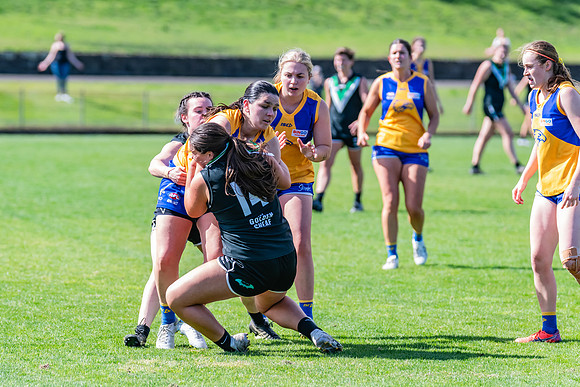 WPD Second Semi-Final - UTS v East Coast - 26 August 2023