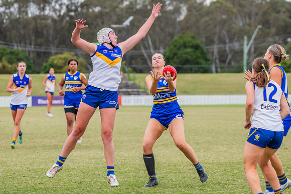 WPD Semi Final - Parramatta v Sydney Uni - 8 September 2024