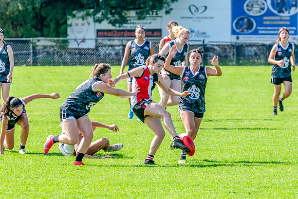 Rd 4 WD2 - Inner West v Randwick City - 25 April 2025