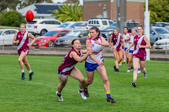 WPD 1st Semi-Final - Manly Warringah v Macquarie Uni - 27 August