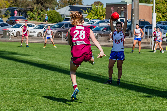 WPD 1st Semi-Final - Manly Warringah v Macquarie Uni - 27 August