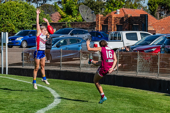 WPD 1st Semi-Final - Manly Warringah v Macquarie Uni - 27 August