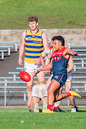 MPD 1st Semi-Final - Pennant Hills v Sydney Uni - 27 August 2023