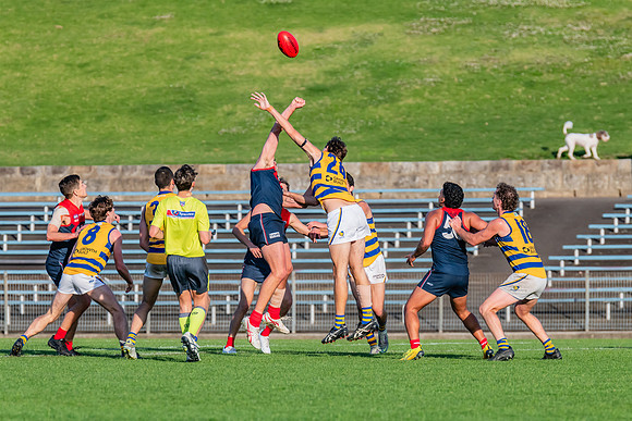 MPD 1st Semi-Final - Pennant Hills v Sydney Uni - 27 August 2023