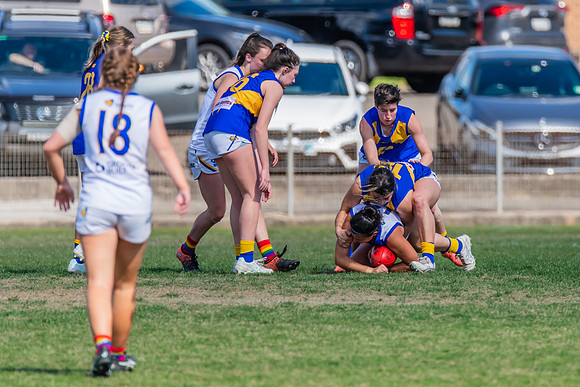 WPD Preliminary Final - East Coast v Sydney University - 21 Augu