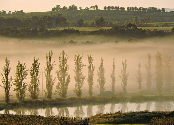 Early morning mist landscape
