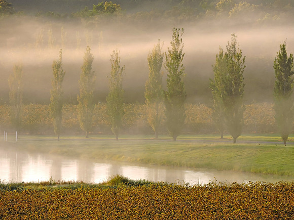 Early morning mist landscape