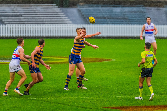 Rd 8 MPD - UNSW-ES v Sydney Uni - 1 June 2024
