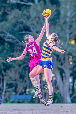 Rd 17 WPD - Manly Warringah v Sydney Uni - 16 August 2025