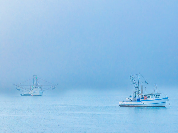 One foggy morning over the bay