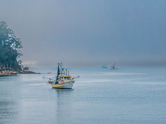 One foggy morning over the bay