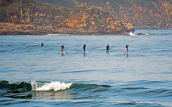 Paddleboarders in the sea