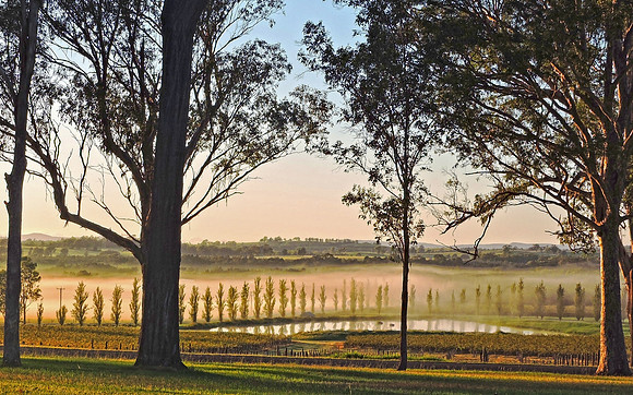 Early morning rural landscape