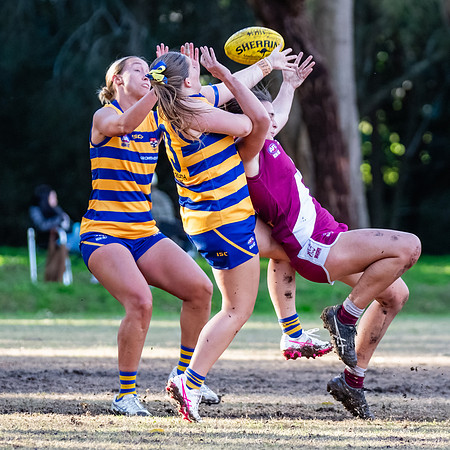 Rd 17 WPD - Manly Warringah v Sydney Uni - 16 August 2025