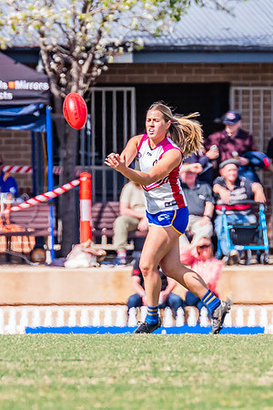 WPD Preliminary Final - UTS v Macquarie Uni - 2 September 2023