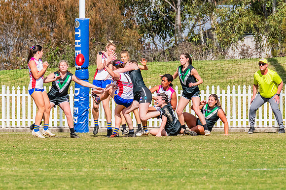 WPD Preliminary Final - UTS v Macquarie Uni - 2 September 2023