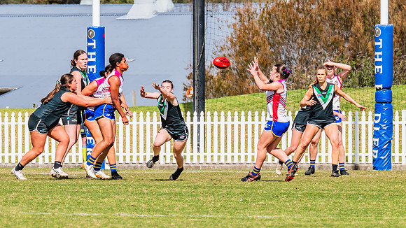 WPD Preliminary Final - UTS v Macquarie Uni - 2 September 2023