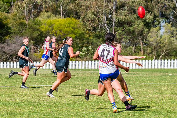 WPD Preliminary Final - UTS v Macquarie Uni - 2 September 2023
