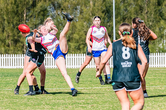 WPD Preliminary Final - UTS v Macquarie Uni - 2 September 2023