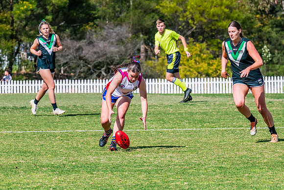 WPD Preliminary Final - UTS v Macquarie Uni - 2 September 2023