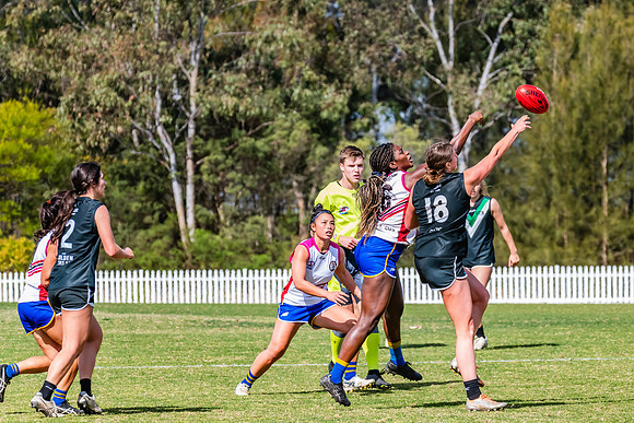 WPD Preliminary Final - UTS v Macquarie Uni - 2 September 2023