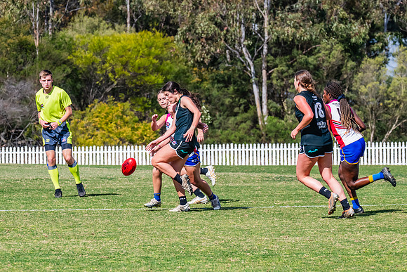 WPD Preliminary Final - UTS v Macquarie Uni - 2 September 2023