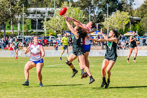 WPD Preliminary Final - UTS v Macquarie Uni - 2 September 2023
