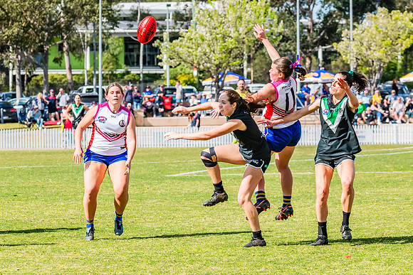 WPD Preliminary Final - UTS v Macquarie Uni - 2 September 2023
