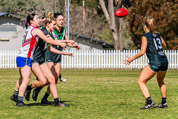 WPD Preliminary Final - UTS v Macquarie Uni - 2 September 2023