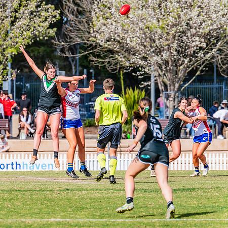WPD Preliminary Final - UTS v Macquarie Uni - 2 September 2023