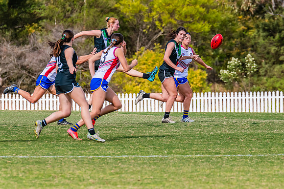 WPD Preliminary Final - UTS v Macquarie Uni - 2 September 2023