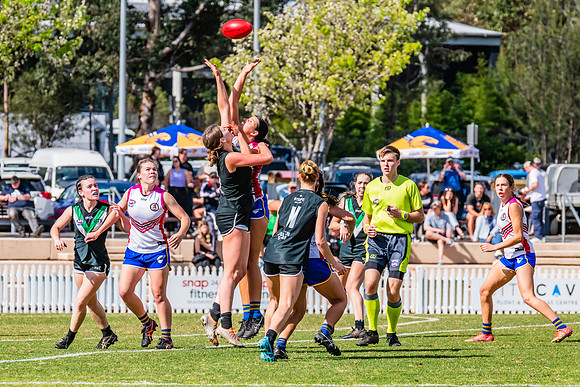 WPD Preliminary Final - UTS v Macquarie Uni - 2 September 2023