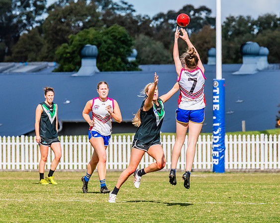 WPD Preliminary Final - UTS v Macquarie Uni - 2 September 2023
