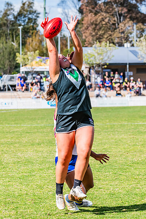 WPD Preliminary Final - UTS v Macquarie Uni - 2 September 2023