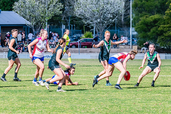 WPD Preliminary Final - UTS v Macquarie Uni - 2 September 2023