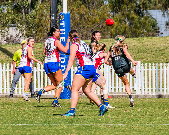WPD Preliminary Final - UTS v Macquarie Uni - 2 September 2023